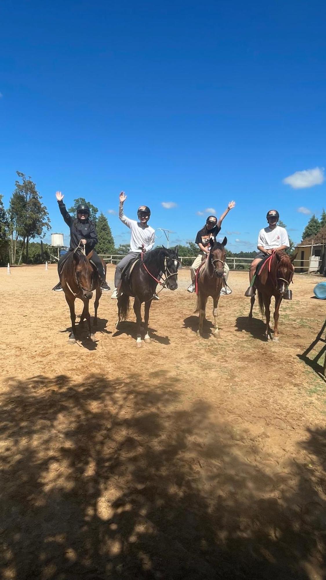 São Roque Rancho Cavalomania Bed & Breakfast エクステリア 写真